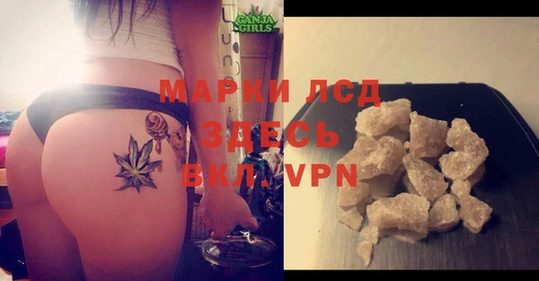 меф Арсеньев