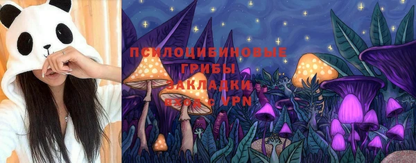 гидра Богданович