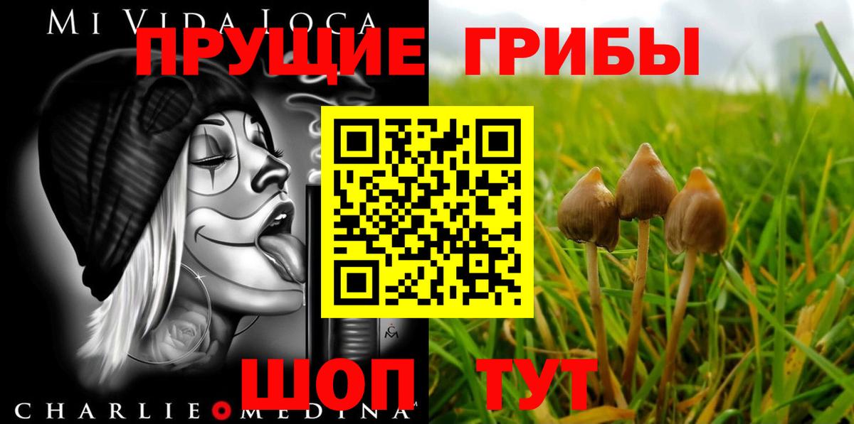 Псилоцибиновые грибы Magic Shrooms Менделеевск